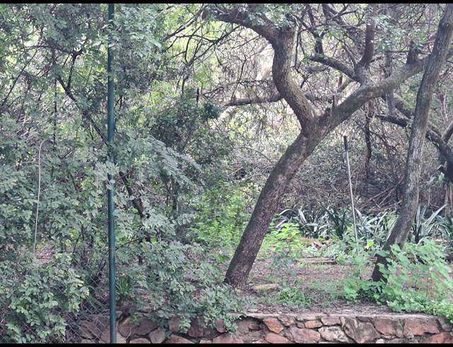 1,526M² VACANT LAND FOR SALE IN BRYANSTON EAST